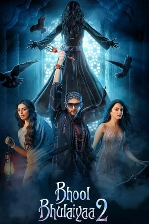 Bhool Bhulaiyaa 2 2022 Hindi Movie Web-DL 720p – 480p