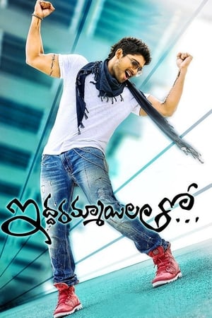 Iddarammayilatho (2013) (Hindi -Telugu) Dual Audio 720p UnCut HDRip [1.4GB]