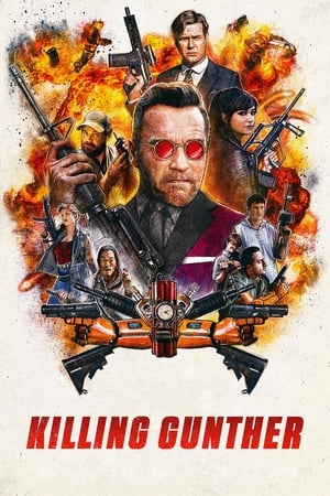 Killing Gunther 2017 Hindi Dual Audio 480p BluRay 300MB