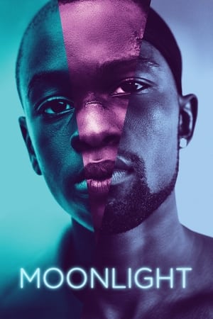 Moonlight (2016) Full Movie [HDCAM] 800MB