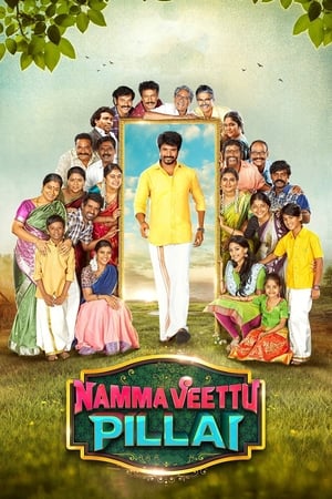 Namma Veettu Pillai (2019) (Hindi -Tamil) Dual Audio 720p UnCut HDRip [1.4GB]