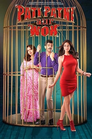 Pati Patni Aur Woh 2019 Hindi Movie 480p HDRip – [350MB]