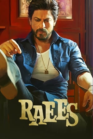 Raees 2017 400MB Full Movie Bluray 480p